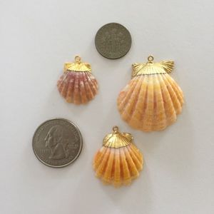 Gold-dipped Sunrise Shells Pendants